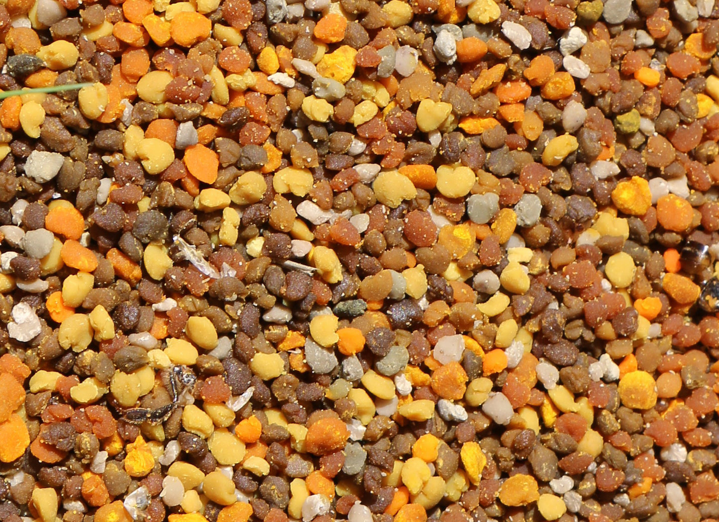 Pollen frais biologique - 350 g