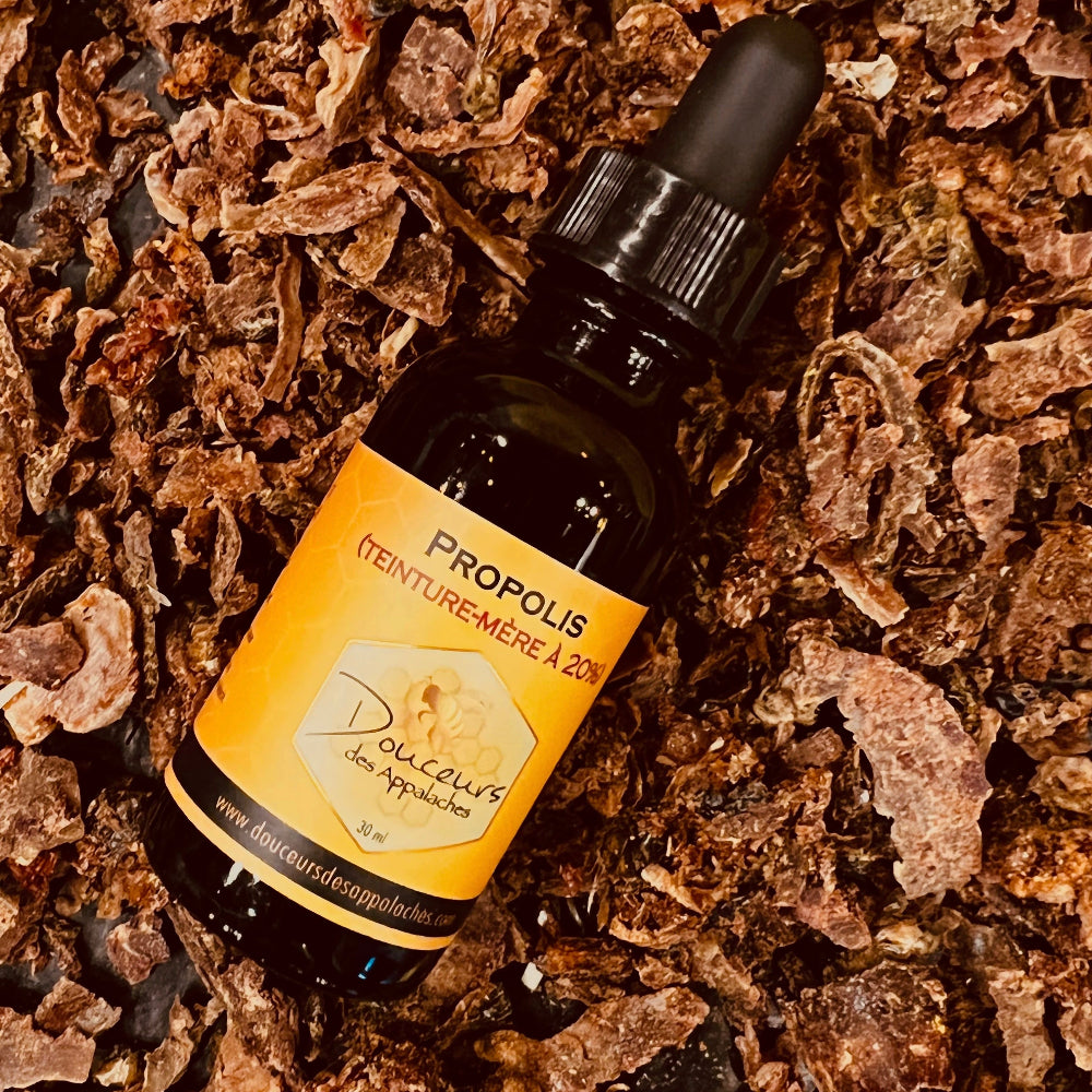 Propolis (teinture-mère à 20%) - 30 ml