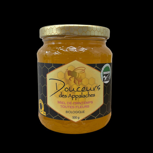 Miel brut de printemps biologique - 500 g
