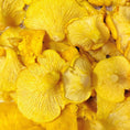 Charger l'image dans la visionneuse de la galerie, Chanterelles fraîches biologiques
