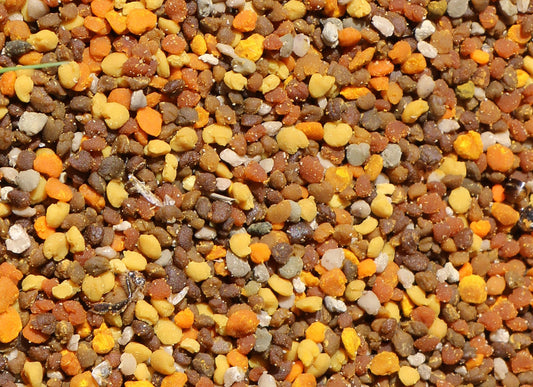 Pollen frais biologique - 350 g
