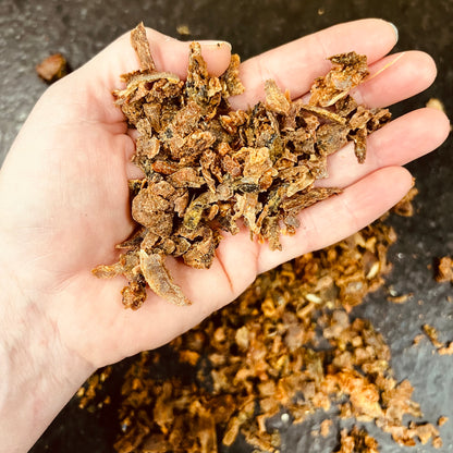 Propolis (teinture-mère à 20%) - 30 ml